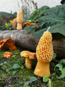 Morel Beeswax Candle